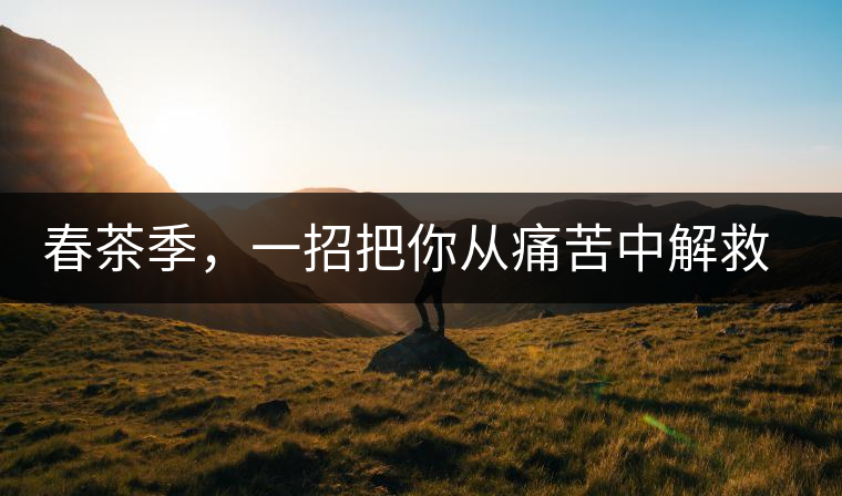 春茶季，一招把你從痛苦中解救出來