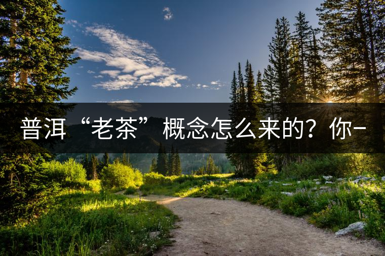普洱“老茶”概念怎么來的？你一定想不到！