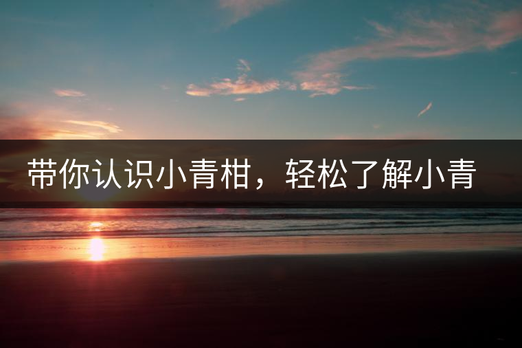 帶你認(rèn)識(shí)小青柑，輕松了解小青柑的前世今生