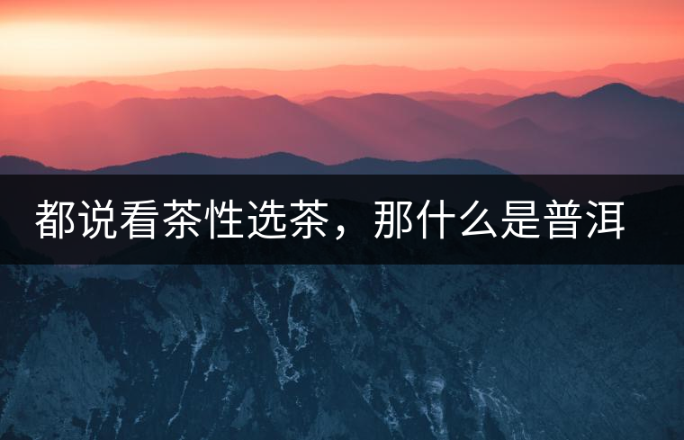 都說看茶性選茶，那什么是普洱茶的“茶性”呢？