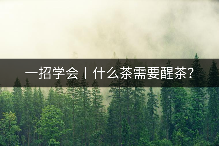 一招學(xué)會丨什么茶需要醒茶？