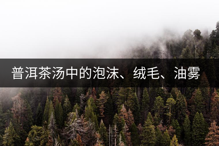 普洱茶湯中的泡沫、絨毛、油霧、絮狀物……原來是這些東西！