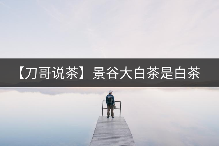 【刀哥說茶】景谷大白茶是白茶還是普洱茶？