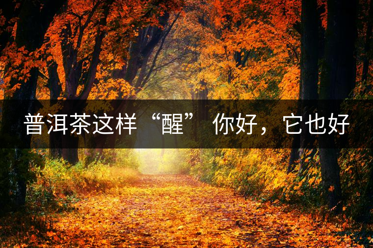 普洱茶這樣“醒” 你好，它也好