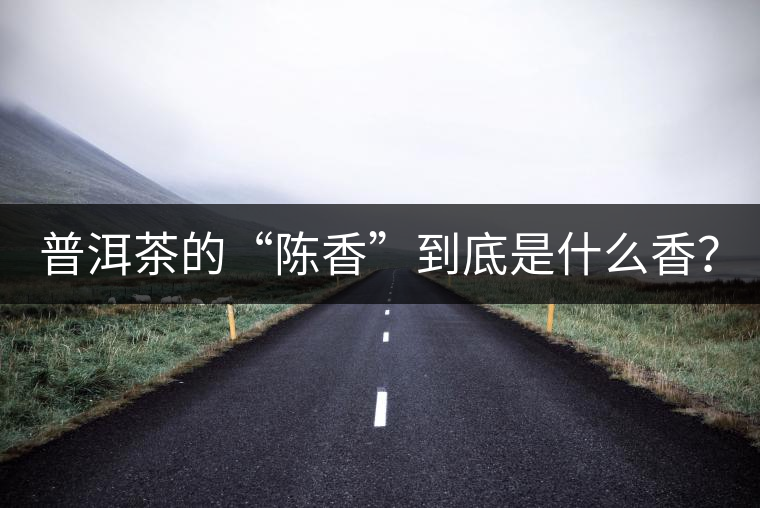 普洱茶的“陳香”到底是什么香？