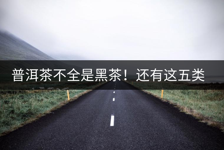 普洱茶不全是黑茶！還有這五類茶，現(xiàn)在知道還不算晚