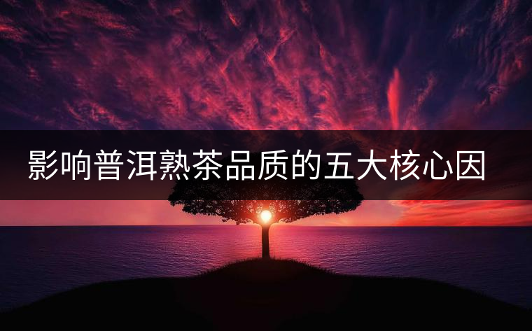 影響普洱熟茶品質(zhì)的五大核心因素 影響普洱熟茶品質(zhì)的五大核心因素