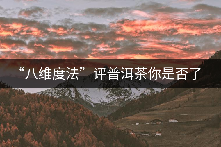 “八維度法”評(píng)普洱茶你是否了解！