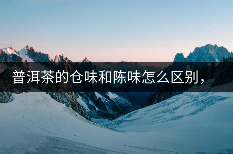 普洱茶的倉味和陳味怎么區(qū)別，如何避免？