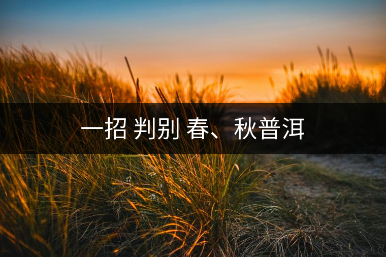 一招 判別 春、秋普洱