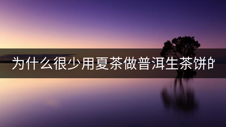 為什么很少用夏茶做普洱生茶餅的？