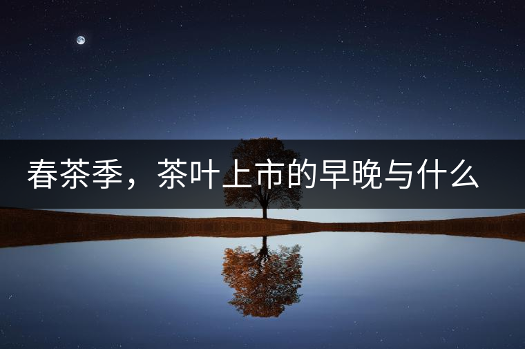 春茶季，茶葉上市的早晚與什么有關(guān)