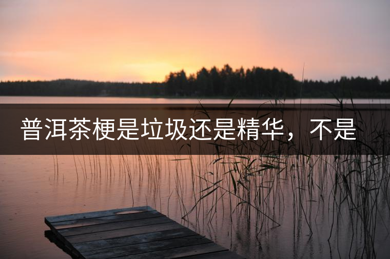 普洱茶梗是垃圾還是精華，不是一個人說的算