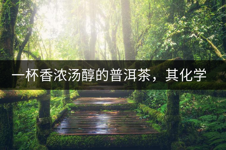 一杯香濃湯醇的普洱茶，其化學成分是怎樣的？