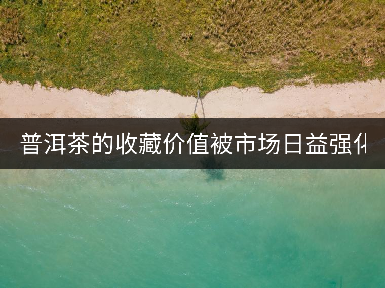 普洱茶的收藏價(jià)值被市場(chǎng)日益強(qiáng)化 藏家應(yīng)冷靜看待 普洱茶的收藏價(jià)值被市場(chǎng)日益強(qiáng)化 藏家應(yīng)冷靜看待