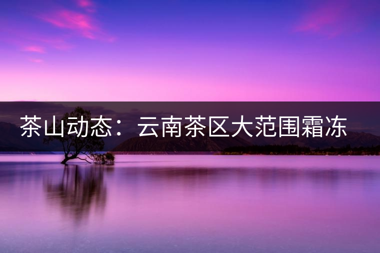 茶山動(dòng)態(tài):云南茶區(qū)大范圍霜凍 明春茶葉產(chǎn)量堪憂 茶山動(dòng)態(tài):云南茶區(qū)大范圍霜凍 明春茶葉產(chǎn)量堪憂