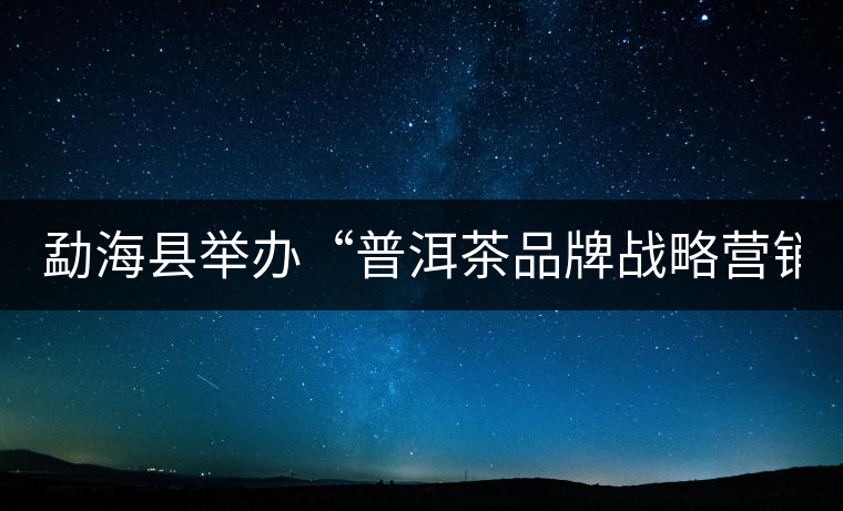 勐海縣舉辦“普洱茶品牌戰(zhàn)略營銷專題講座”