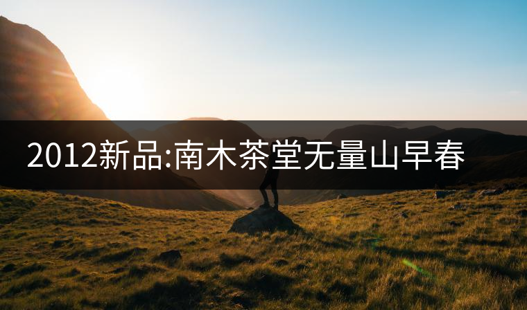 2012新品:南木茶堂無量山早春大樹茶