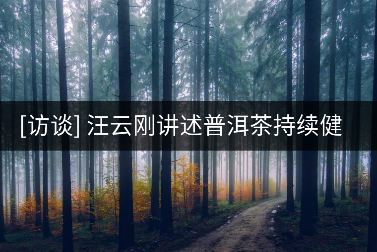 [訪談] 汪云剛講述普洱茶持續(xù)健康發(fā)展之路