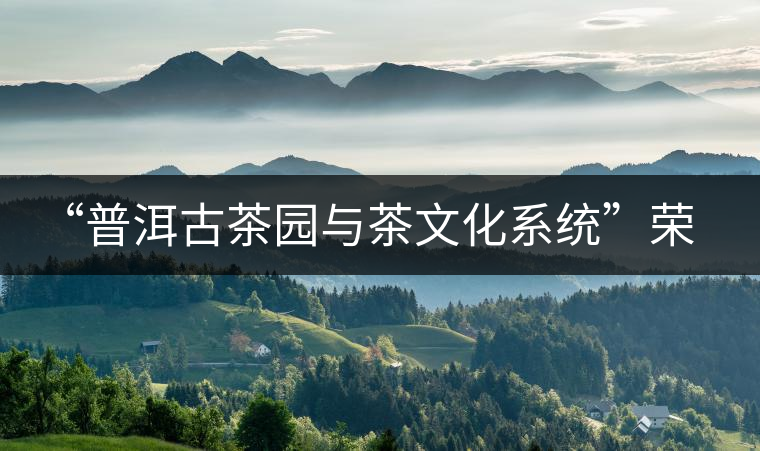 “普洱古茶園與茶文化系統(tǒng)”榮膺中國(guó)首批重要農(nóng)業(yè)文化遺產(chǎn) “普洱古茶園與茶文化系統(tǒng)”榮膺中國(guó)首批重要農(nóng)業(yè)文化遺產(chǎn)