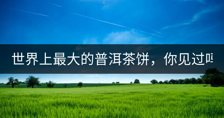 世界上最大的普洱茶餅，你見過嗎？