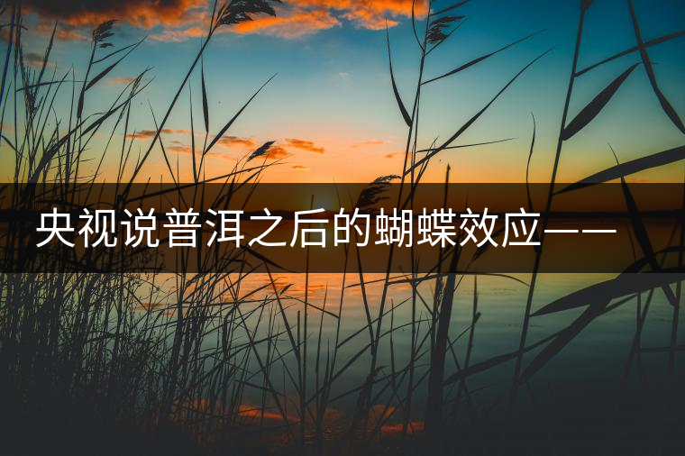 央視說普洱之后的蝴蝶效應——過度開采會出現(xiàn)“死循環(huán)”？