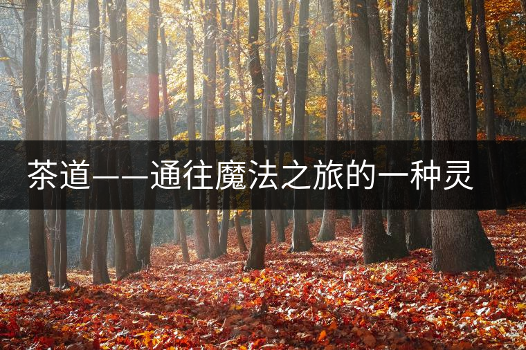 茶道——通往魔法之旅的一種靈魂 茶道——通往魔法之旅的一種靈魂