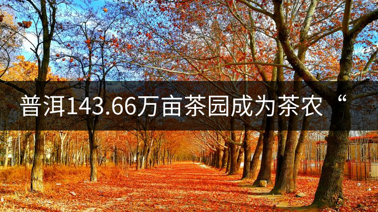 普洱143.66萬(wàn)畝茶園成為茶農(nóng)“綠色銀行” 普洱143.66萬(wàn)畝茶園成為茶農(nóng)“綠色銀行”