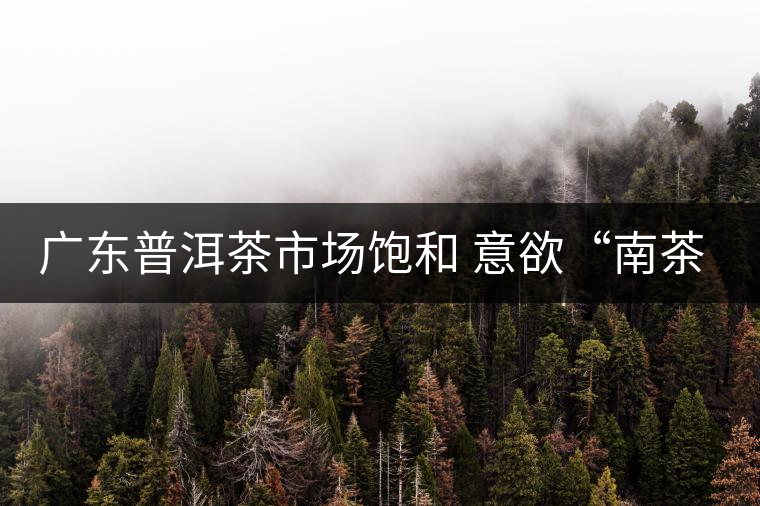 廣東普洱茶市場(chǎng)飽和 意欲“南茶北銷” 廣東普洱茶市場(chǎng)飽和 意欲“南茶北銷”