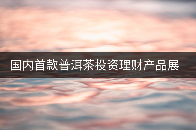 國內首款普洱茶投資理財產品展開路演推介 國內首款普洱茶投資理財產品展開路演推介