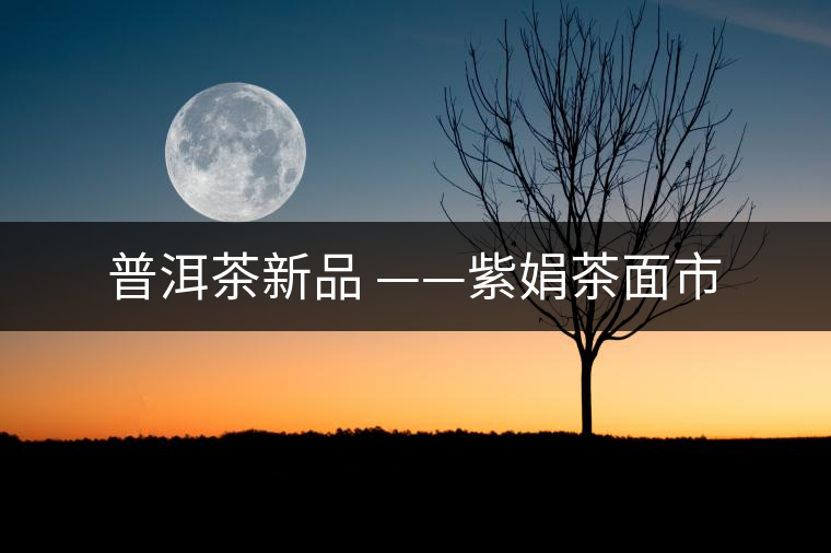 普洱茶新品 ——紫娟茶面市