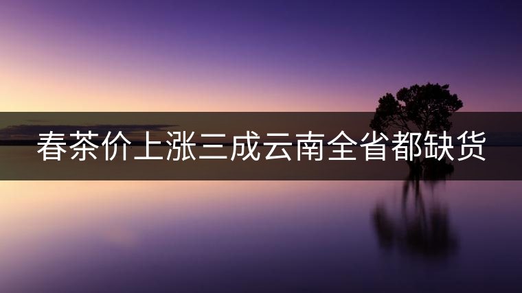 春茶價(jià)上漲三成云南全省都缺貨 春茶價(jià)上漲三成云南全省都缺貨