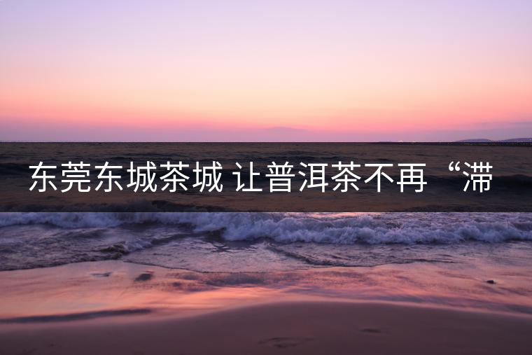 東莞東城茶城 讓普洱茶不再“滯脹”