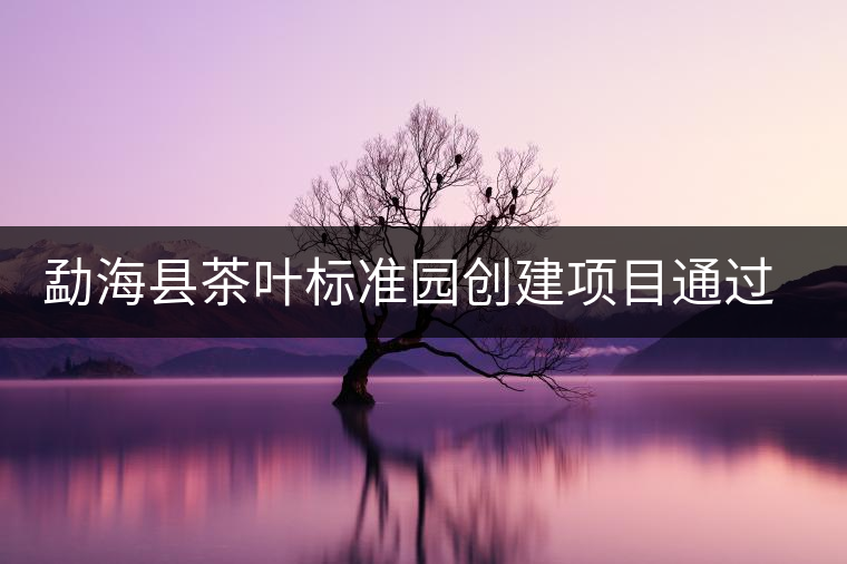 勐?？h茶葉標(biāo)準(zhǔn)園創(chuàng)建項(xiàng)目通過(guò)省級(jí)驗(yàn)收