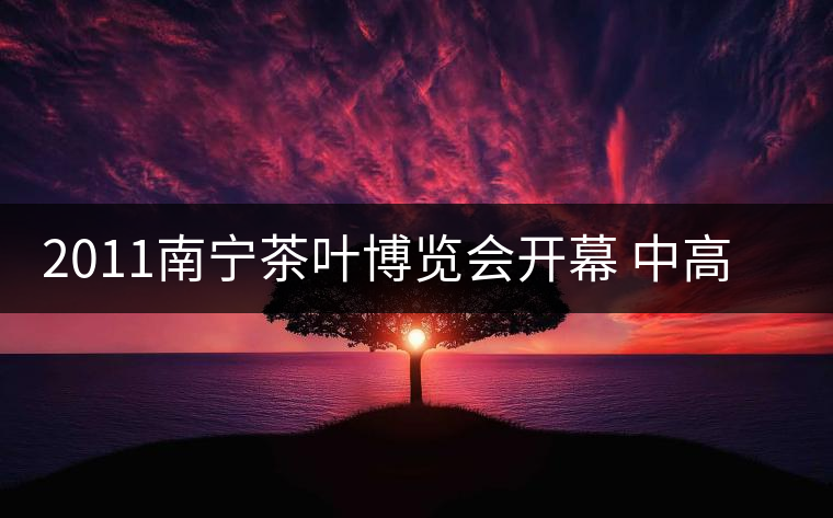 2011南寧茶葉博覽會(huì)開幕 中高檔普洱茶受追捧 2011南寧茶葉博覽會(huì)開幕 中高檔普洱茶受追捧