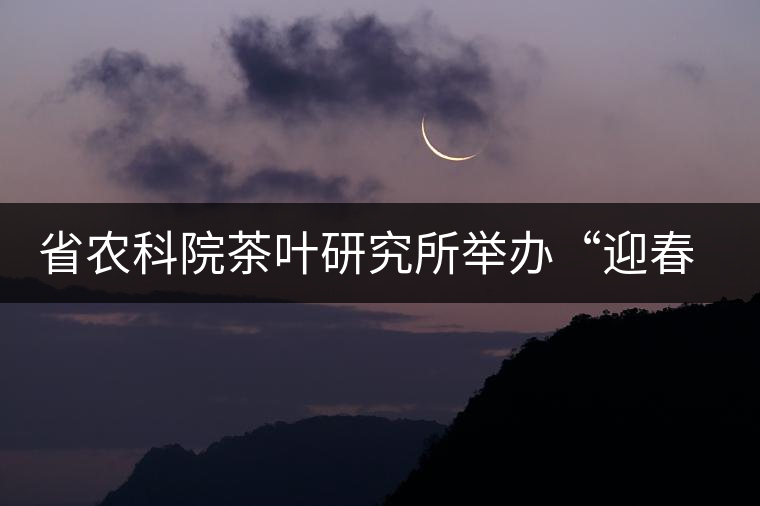 省農(nóng)科院茶葉研究所舉辦“迎春節(jié)、慶元旦”籃球聯(lián)誼賽 省農(nóng)科院茶葉研究所舉辦“迎春節(jié)、慶元旦”籃球聯(lián)誼賽