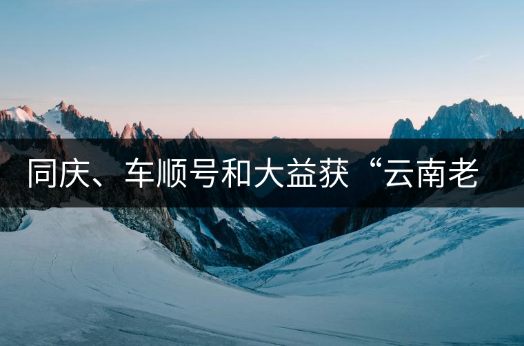 同慶、車(chē)順號(hào)和大益獲“云南老字號(hào)”稱(chēng)號(hào)