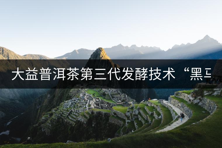 大益普洱茶第三代發(fā)酵技術(shù)“黑馬” 大益普洱茶第三代發(fā)酵技術(shù)“黑馬”