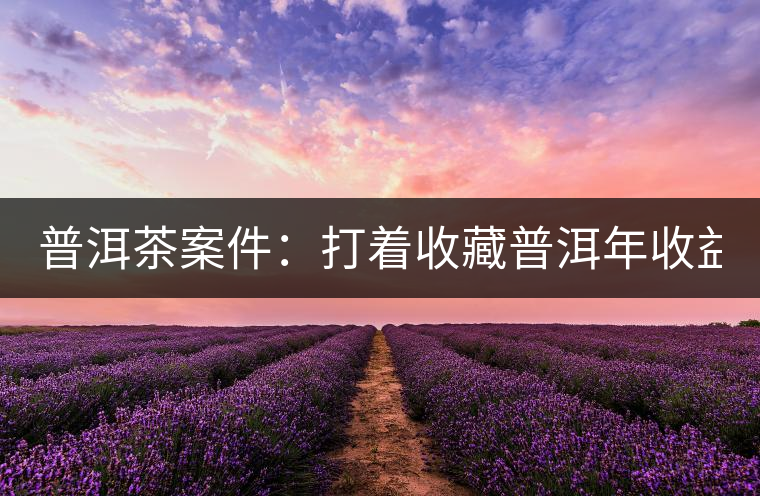 普洱茶案件：打著收藏普洱年收益不低于16%，非法吸收公眾存款