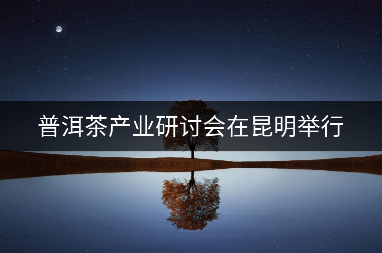 普洱茶產業(yè)研討會在昆明舉行 普洱茶產業(yè)研討會在昆明舉行