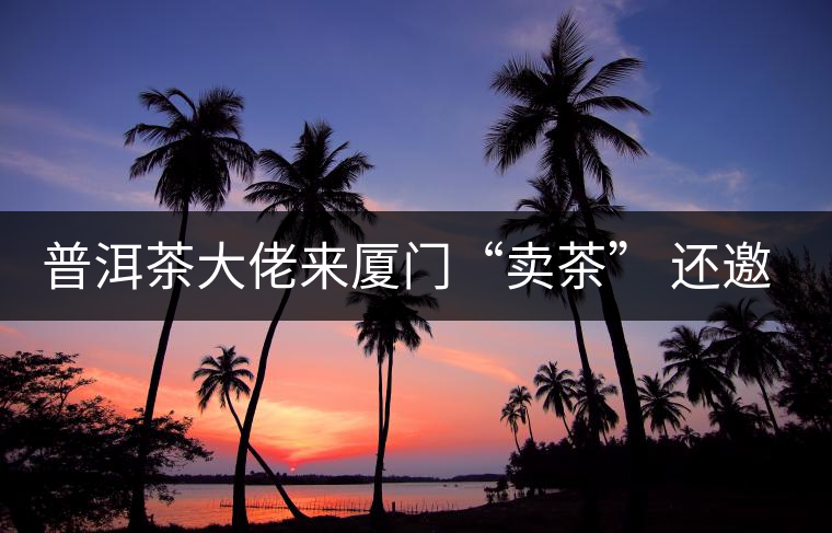 普洱茶大佬來廈門“賣茶” 還邀請證券分析師助陣