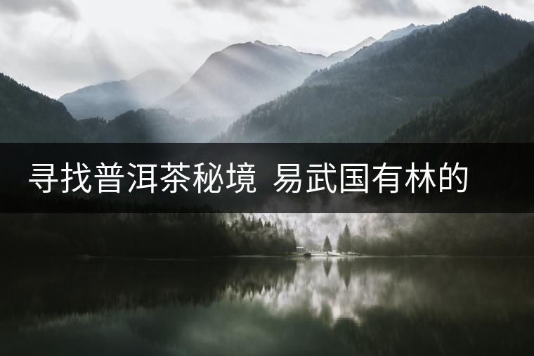 尋找普洱茶秘境  易武國(guó)有林的追逐戰(zhàn)