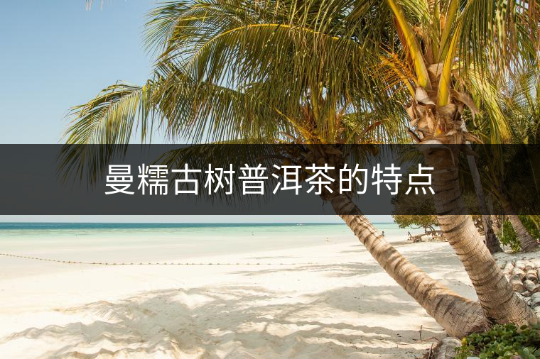 曼糯古樹(shù)普洱茶的特點(diǎn)
