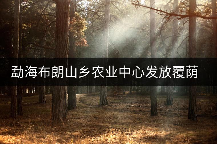 勐海布朗山鄉(xiāng)農(nóng)業(yè)中心發(fā)放覆蔭樹苗，創(chuàng)建衛(wèi)東生態(tài)茶園