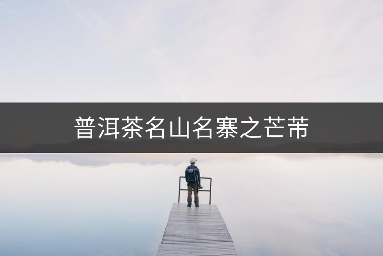 普洱茶名山名寨之芒芾