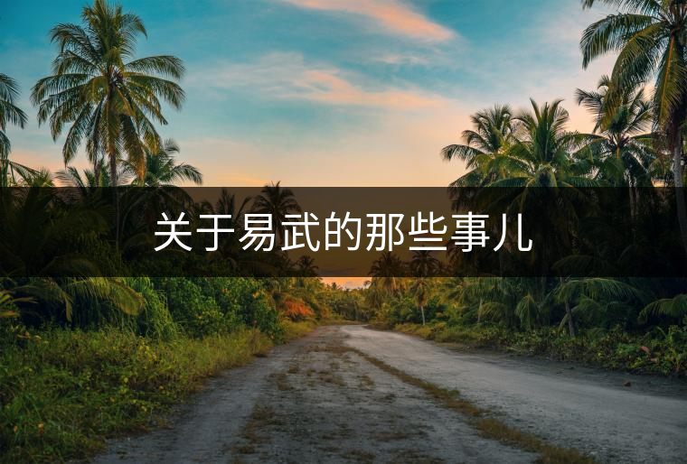 關(guān)于易武的那些事兒