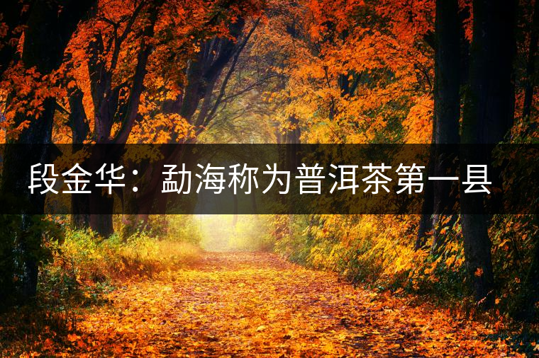 段金華:勐海稱為普洱茶第一縣的六大理由 段金華:勐海稱為普洱茶第一縣的六大理由