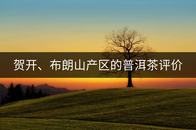 賀開(kāi)、布朗山產(chǎn)區(qū)的普洱茶評(píng)價(jià)