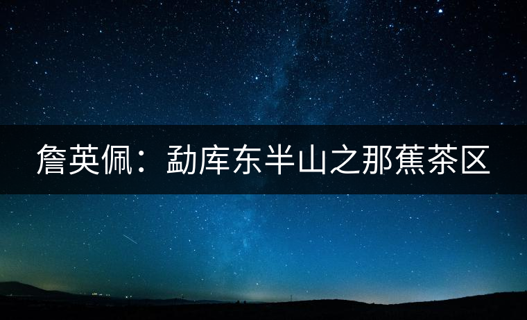 詹英佩：勐庫(kù)東半山之那蕉茶區(qū)