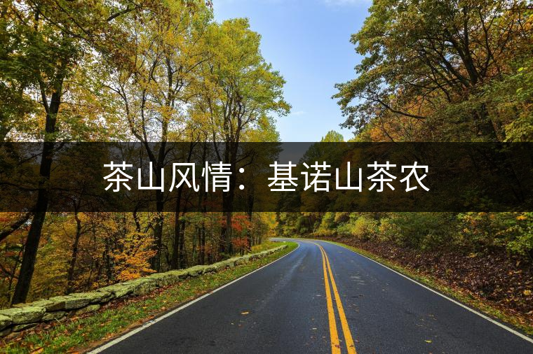 茶山風情:基諾山茶農(nóng) 茶山風情:基諾山茶農(nóng)